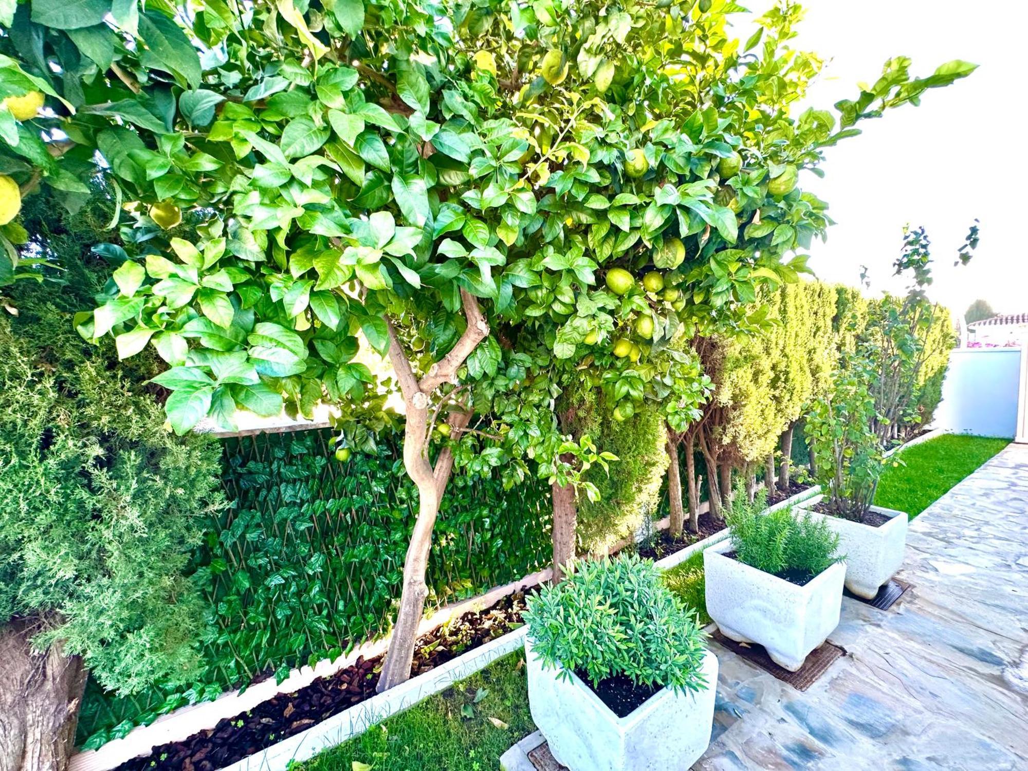 Villa Casacara Marbella Beachside Costabella -Spain Exteriör bild